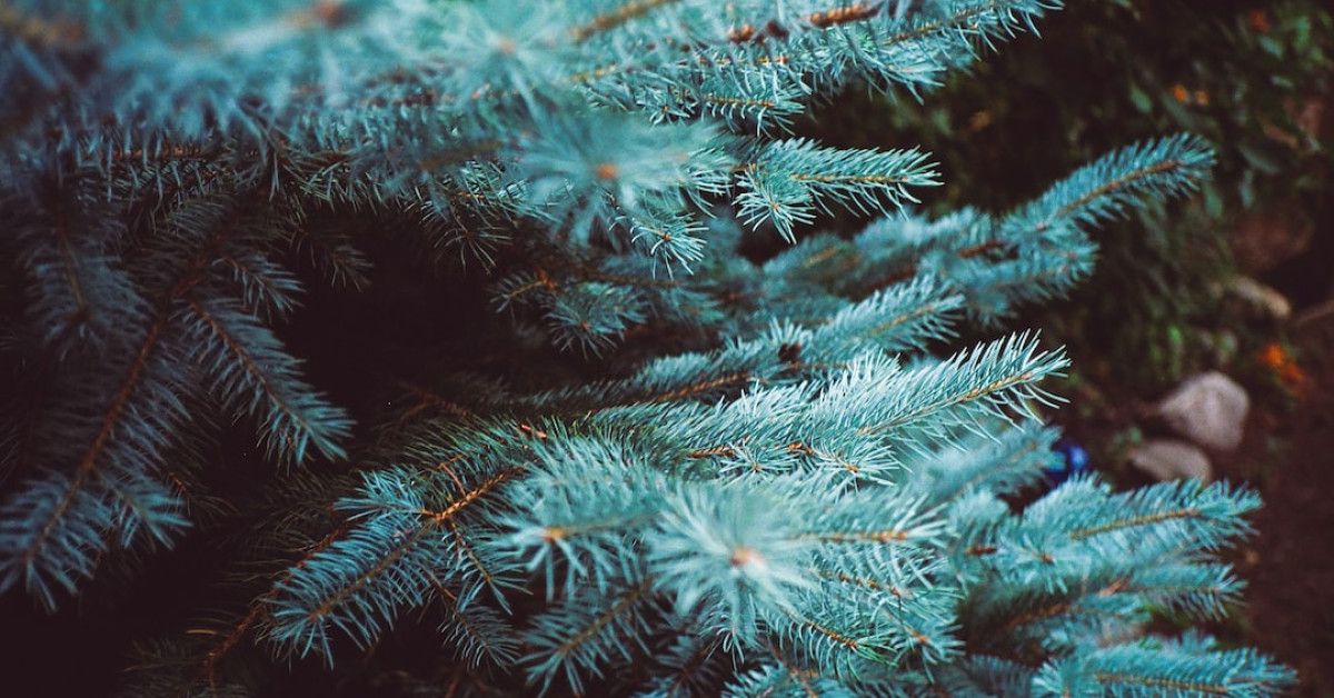 Top 10 consignment stores near me: Buy, sell clothes & furniture