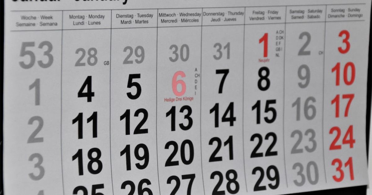 Review of My Survey Junkie Experience 2021 - Image