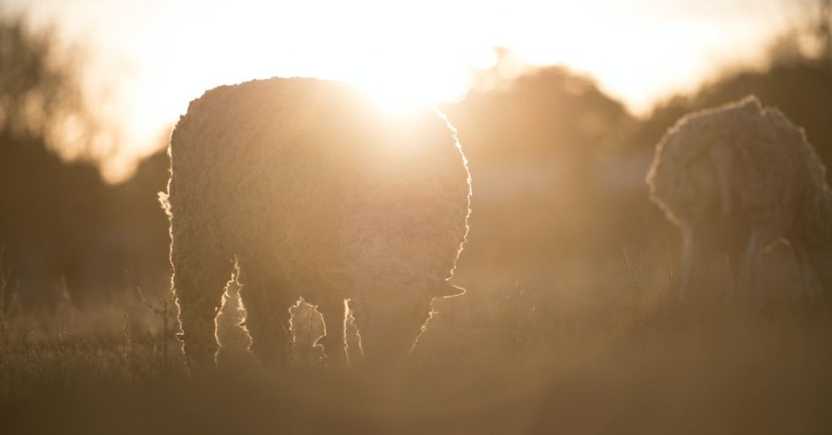 Best Early Retirement Calculators to Help Achieve Financial Independence