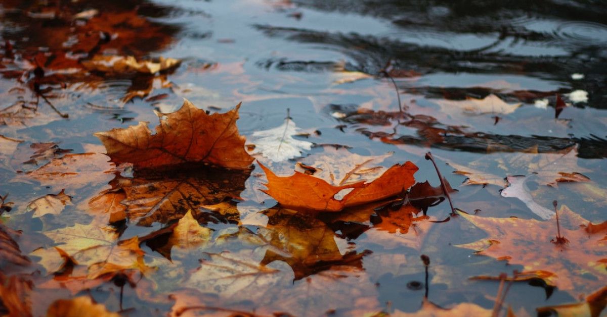 Chase Bank promotions: $200 and $100 account bonuses - September 2022