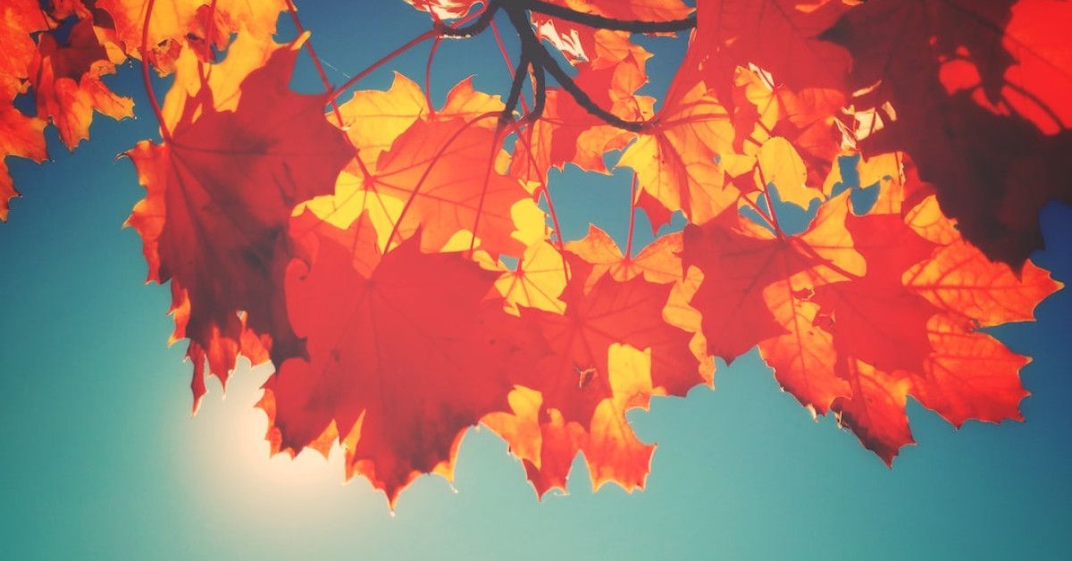 Mint.com alternatives for better personal finance management in 2023.