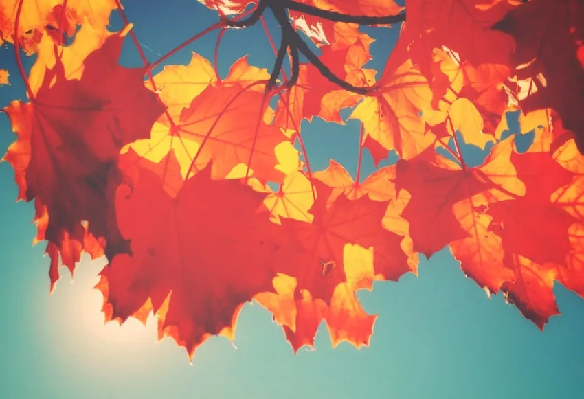 Mint.com alternatives for better personal finance management in 2023.