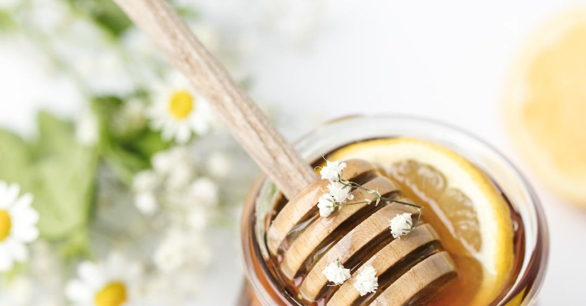 Honey App Review 2023: A Comprehensive Guide and Review