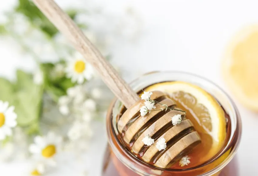 Honey App Review 2023: A Comprehensive Guide and Review