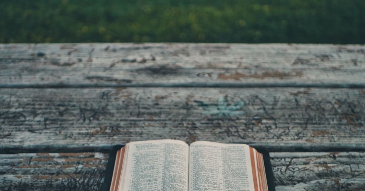 Honeygain Review: Before You Try It, Read This Guide