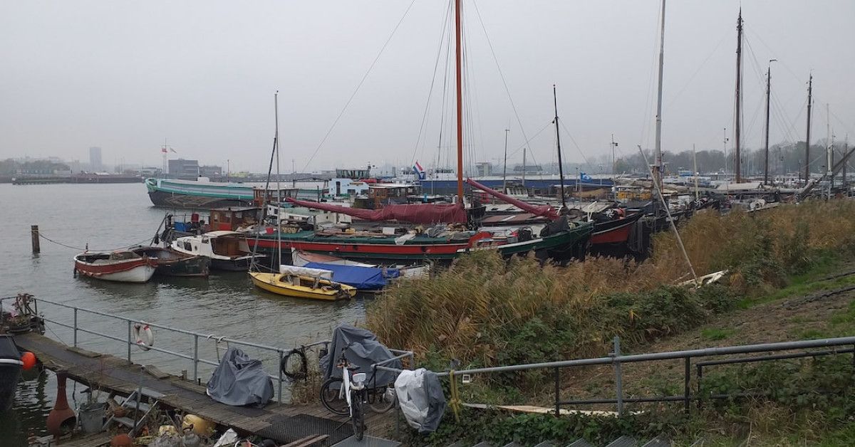 How to Get Free Stock from Top Brokers