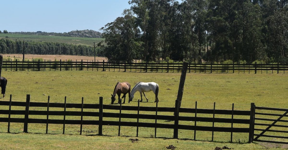 "Wealth Accumulation Guide Cover"