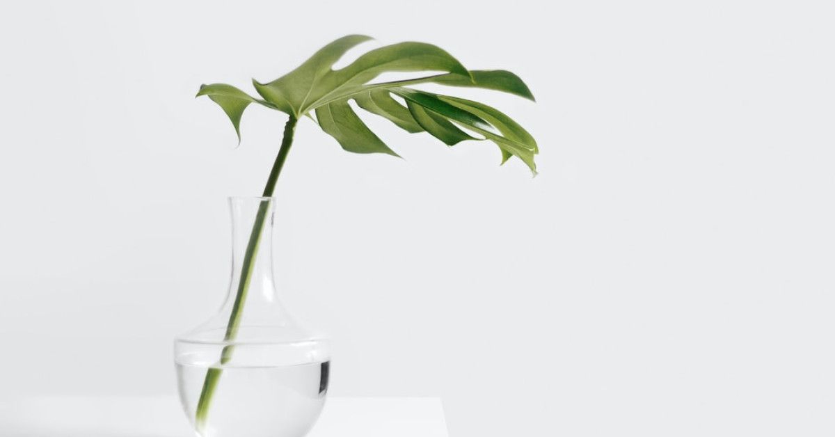 Save 75% on Sirius XM radio subscriptions, slash expenses!