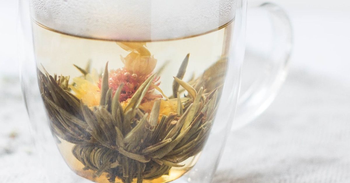 Top 10 short-term health insurance plans for 2023 guide.