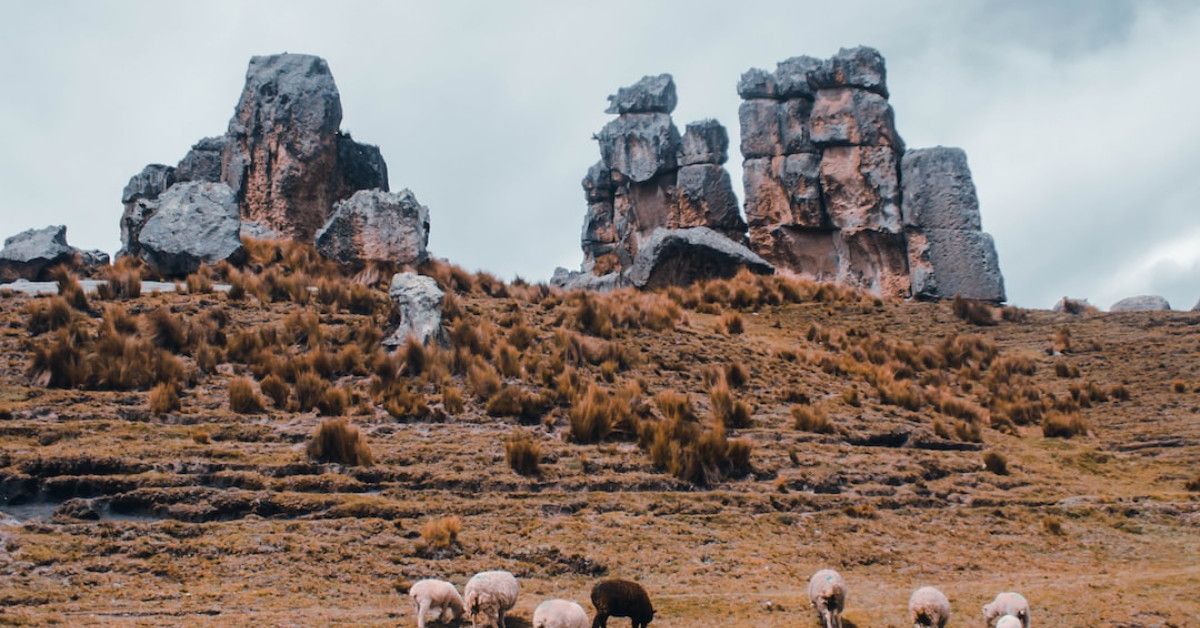 Unlock exclusive rewards with no-annual-fee credit cards and bonuses.