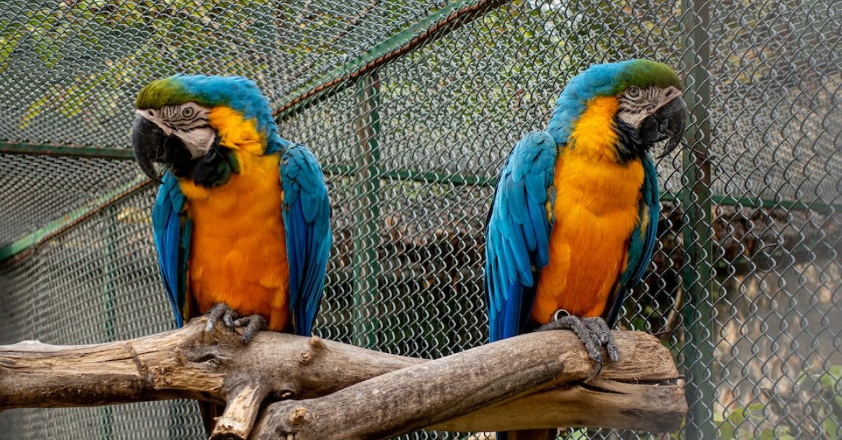 Unlock financial success with 18 proven ways to make $500 fast.