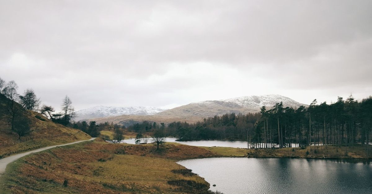 Ultimate guide to finding a notary public for document authentication.