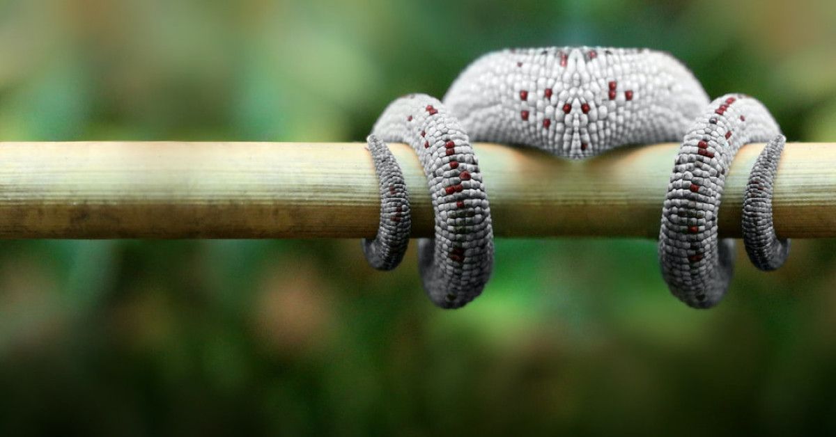 Average net worth by age in America infographic.