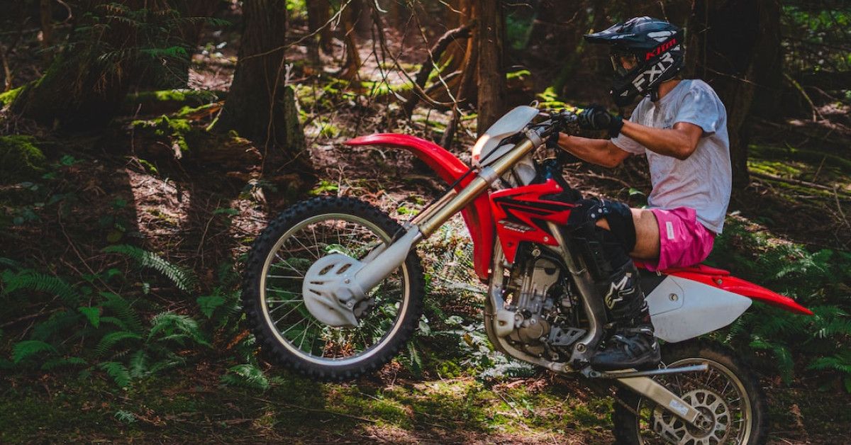 CreditWise Capital One review image: Understand and leverage credit opportunities with CreditWise.