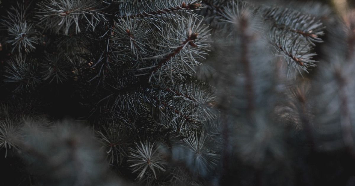 Power of media mentions in finance - a visual overview.