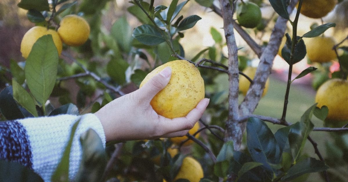 Discover the Best 2023 Stock Picking Services for Success